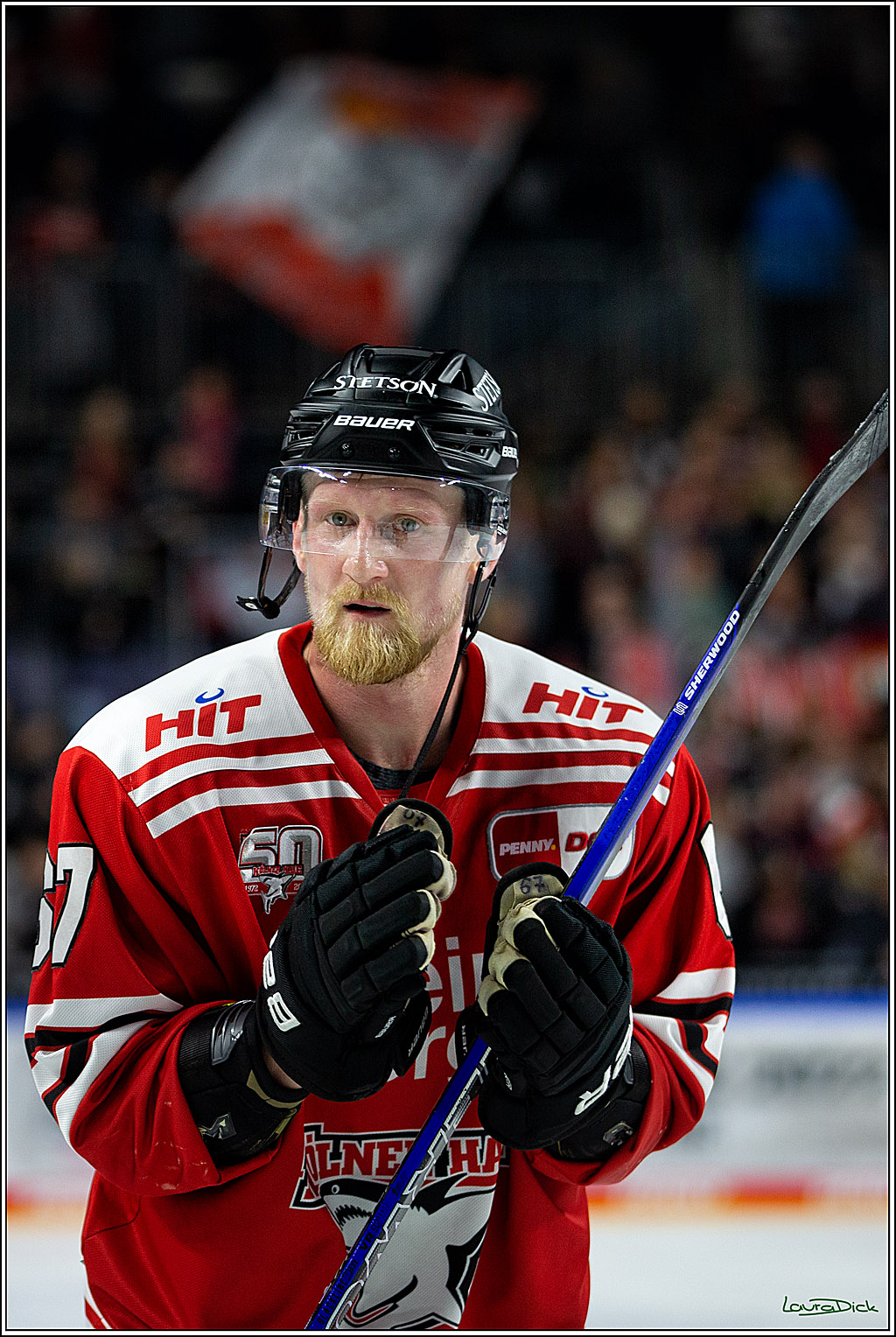PENNY DEL; Koelner Haie- Loewen Frankfurt; Koeln, 01.12.2022